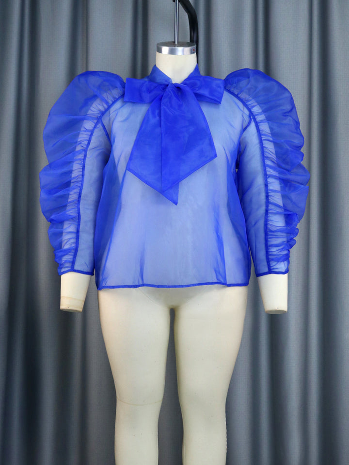 Women's elegant top with voluminous ruffled sleeves StylebySassy