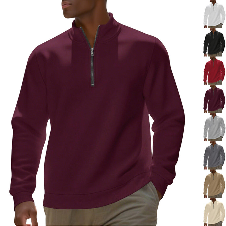 Men's half-zip sweatshirt made of cotton blend with stand-up collar, soft lining and ribbed cuffs StylebySassy