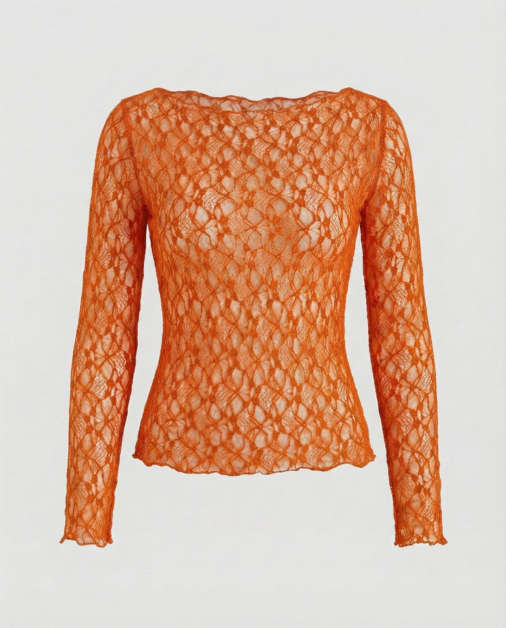 Ladies delicate lace long sleeve blouse